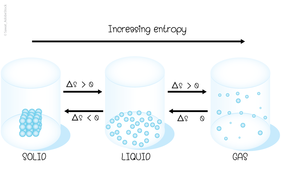 Das Leben und der Zweite Hauptsatz der Thermodynamik