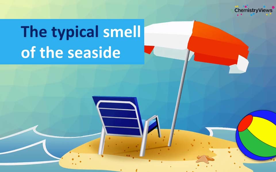 Where Does the Typical Sea Smell Come From?