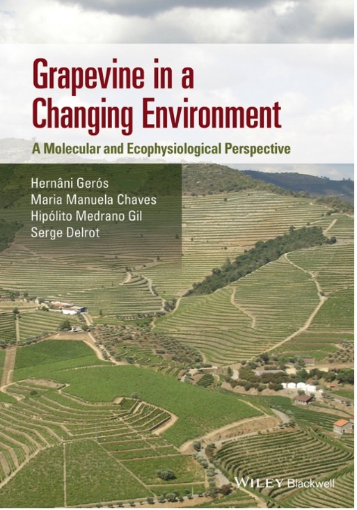 Buchcover – Wein und Klimawandel