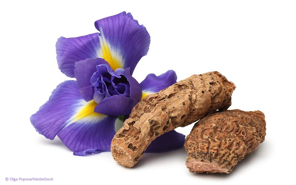 Orris Root