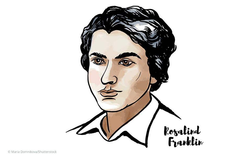lr_Maria_Domnikova_Rosalind-Franklin_shutterstock_1322820299 Porträt Rosalind Franklin