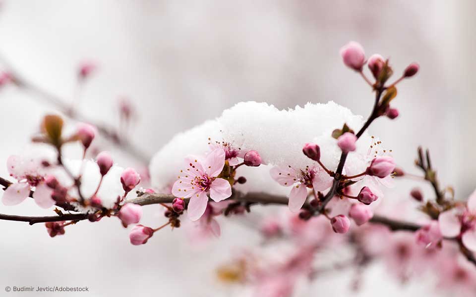 Wieso ist das Wetter im April so unbeständig?
